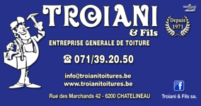 Troiani & Fils — Entreprise générale de toiture